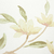 Mais detalhes do Papel de Parede Floral e Pássaros Rosa e Amarelo - 10 metros | 811054 - Coleção Fragrant Roses - Ciça Braga
