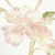 Detalhes do Papel de Parede Floral e Pássaros Rosa e Amarelo - 10 metros | 811054 - Coleção Fragrant Roses - Ciça Braga
