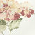 Detalhes do Papel de Parede Flores Rosa e Pássaros - 10 metros | 811055 - Coleção Fragrant Roses - Ciça Braga