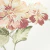 Detalhes do Papel de Parede Flores Rosa e Pássaros - 10 metros | 811055 - Coleção Fragrant Roses - Ciça Braga