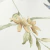 Outros detalhes do Papel de Parede Flores Rosa e Pássaros - 10 metros | 811055 - Coleção Fragrant Roses - Ciça Braga