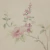Outros detalhes do Papel de Parede Floral Rosa Antigo - 10 metros | 811072 - Coleção Fragrant Roses - Ciça Braga
