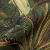 Detalhes do Papel de Parede Folhagem e Garças Verde Escuro e Marrom - Coleção Flora 84759 | 10 metros | Cola Grátis - Ciça Braga