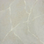 Papel de Parede Marmorizado Cinza e Bege Brilho - Coleção Classici 5 96403 | 10 metros | Cola Grátis - Ciça Braga