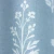 Detalhes em zoom do Papel de Parede Flores Branco e Azul  - Coleção Brisa do Mar BDM-53 | 10 metros | Cola Grátis - Ciça Braga