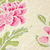 Outros detalhes do Papel de Parede Floral Rosa e Bege Claro - Coleção Grace 4 402401 - Kantai | 10 metros | Cola Grátis - Ciça Braga