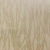 Papel de Parede Texturizado Marrom Claro (Brilho) - Texture World - Importado Lavável | H2990103 - Ciça Braga