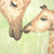 Mais detalhes do Painel de Parede Girafa Infantil - Coleção Memórias de Infância - MI201020 | Tamanho Personalizado - Venda por Metro Quadrado | Cola Grátis - Ciça Braga