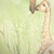 Detalhes da estampa do Painel de Parede Girafa Infantil - Coleção Memórias de Infância - MI201020 | Tamanho Personalizado - Venda por Metro Quadrado | Cola Grátis - Ciça Braga