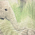 Detalhes da estampa do Painel de Parede Selva Animais - Coleção Memórias de Infância - MI201022 | Tamanho Personalizado - Venda por Metro Quadrado | Cola Grátis - Ciça Braga