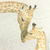 Zoom do Painel de Parede Girafas - Coleção Memórias de Infância - MI201024 | Tamanho Personalizado - Venda por Metro Quadrado | Cola Grátis - Ciça Braga