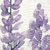 Detalhes do Painel de Parede Floral Lavanda - Coleção Memórias de Infância - MI201034 | Tamanho Personalizado - Venda por Metro Quadrado | Cola Grátis - Ciça Braga