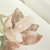Outros detalhes do Painel de Parede Flores e Folhagens - Coleção Memórias de Infância - MI201040 | Tamanho Personalizado - Venda por Metro Quadrado | Cola Grátis - Ciça Braga