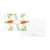 Imagem do Kit Cartão Postal 16x11 - Memento Flora - Misto