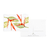 Kit Cartão Postal 16x11 - Memento Flora - Misto - loja online