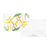 Kit Cartão Postal 16x11 - Memento Flora - Misto - Nina Write