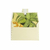 Envelope para cartão de 13x9 com design de abacaxi, mostrando folhas verdes e a fruta em destaque.