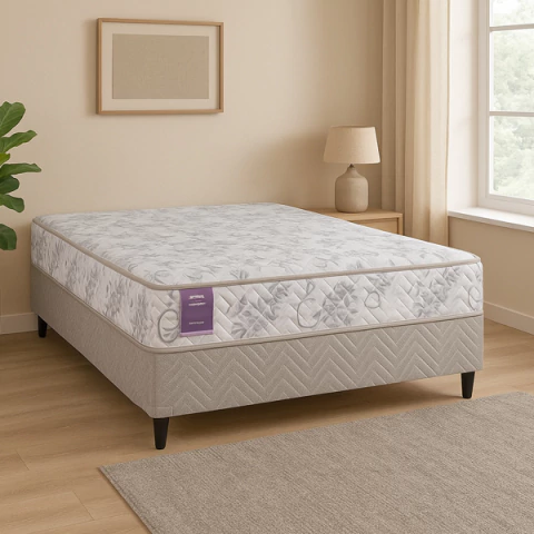 Sommier King Rest Springwall