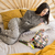Maxi Estuche - comprar online