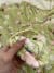 Pijama Polar Soft - Verde - Soy Intimates