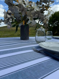 MANTEL ANTIMANCHA RAYAS CELESTES - comprar online
