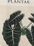 Tapiz Plantae