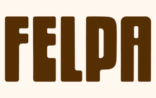 Felpa HOME