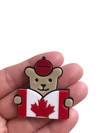Aplique urso com livro maple bear acrílico - 1 unidade