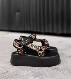 Taipei - Leopard