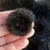 Meio Pompom 4 cm - loja online