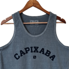 Regata Capixaba na internet