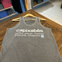 Regata Capixabes na internet