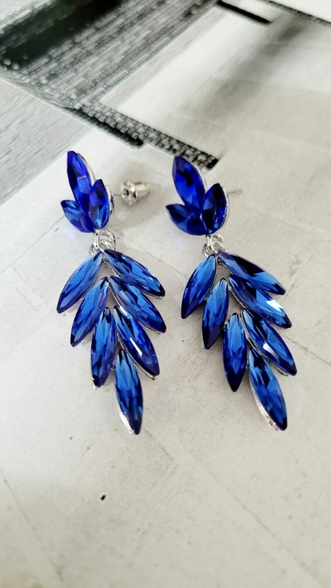 Tayra azul