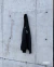 Banner de Henky Penky