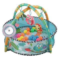 Gimnasio Pelotero para bebes