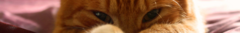 Banner de la categoría COMBOS