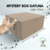 MYSTERY BOX GATUNA - Chica