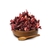Hibiscus en Flores Importado - comprar online