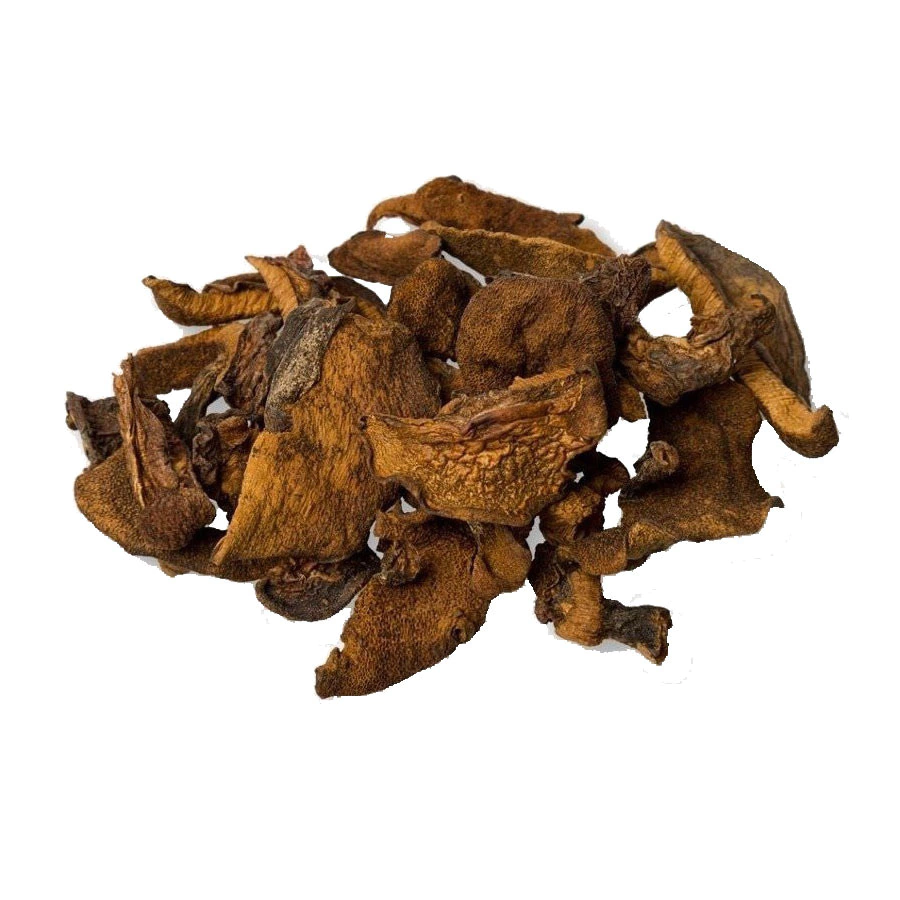 Hongos de Pino Premium