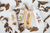 Banner de Dietética Callao