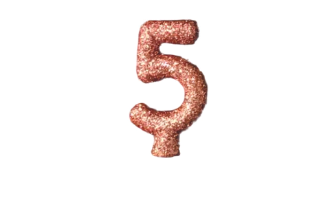 VELA ALCHESTER SHINE ROSE GOLD Nº5