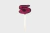 VELA ALCHESTER CITRUS SHINE PINK Nº5