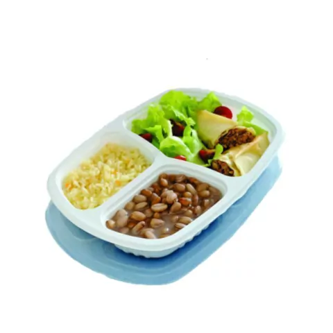 BANDEJA GALVANOTE C/ 3 DIVISORIAS G-331 FREZZER/MICROONDAS 850ML COM 1 UNIDADE - comprar online
