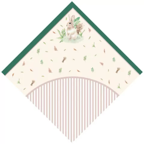 EXPRESS CROMUS 49CM X 49CM NATURAL COM 2 UNIDADES