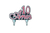 VELA ALCHESTER 10 ANOS LUXO ROSA
