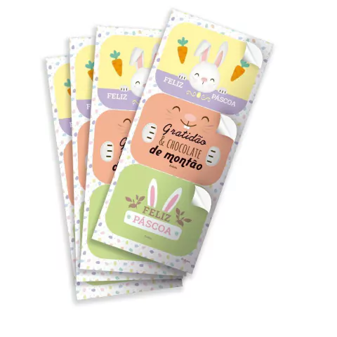 ADESIVO FESTCOLOR ESPECIAL 1 PACOTE COM 12 UNIDADES