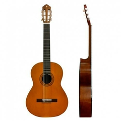 Yamaha C40