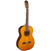 TAKAMINE GC5NAT