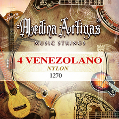 MEDINA ARTIGAS 1270