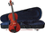 CERVINI VIOLIN HV-100 3/4